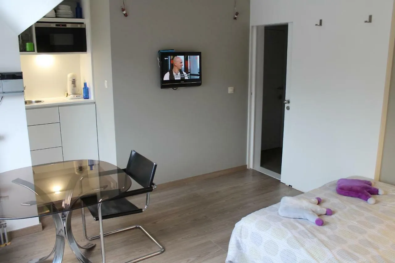 公寓 Family Stay 200M From Beach 3 Bedrooms 2 Bathrooms Nice Terrace 奥斯滕德 比利时